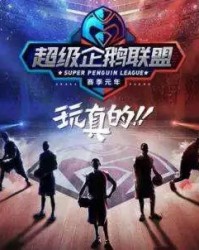  跨界明星组队参赛，娱乐精神与竞技碰撞火花  