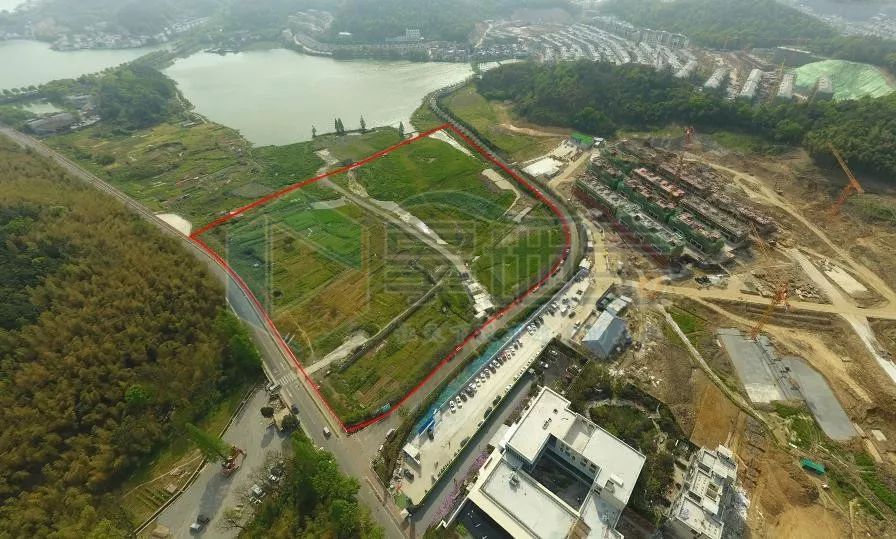  福建浔兴攻防转换流畅拿下宁波町渥